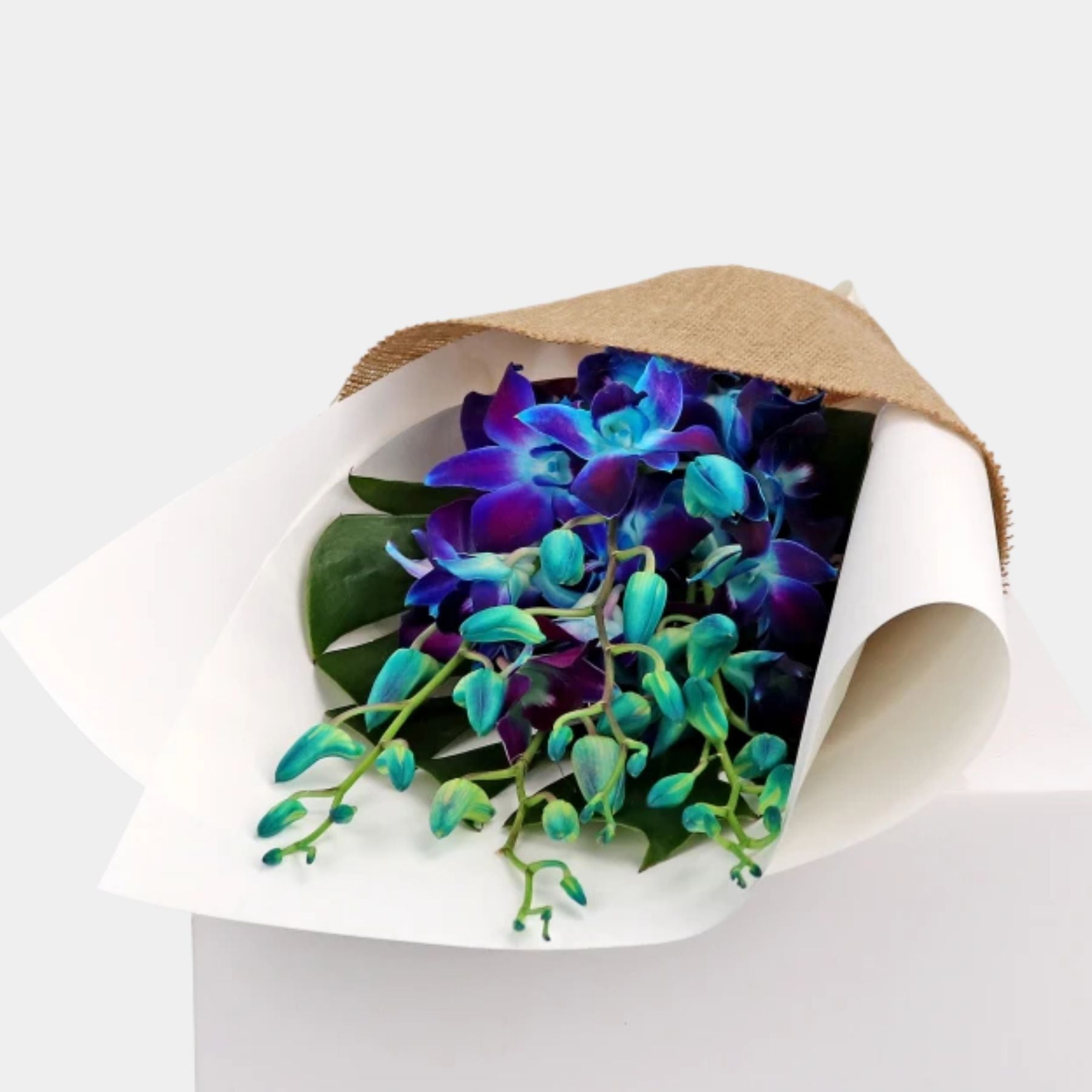 Bouquet of 7 Blue Orchid