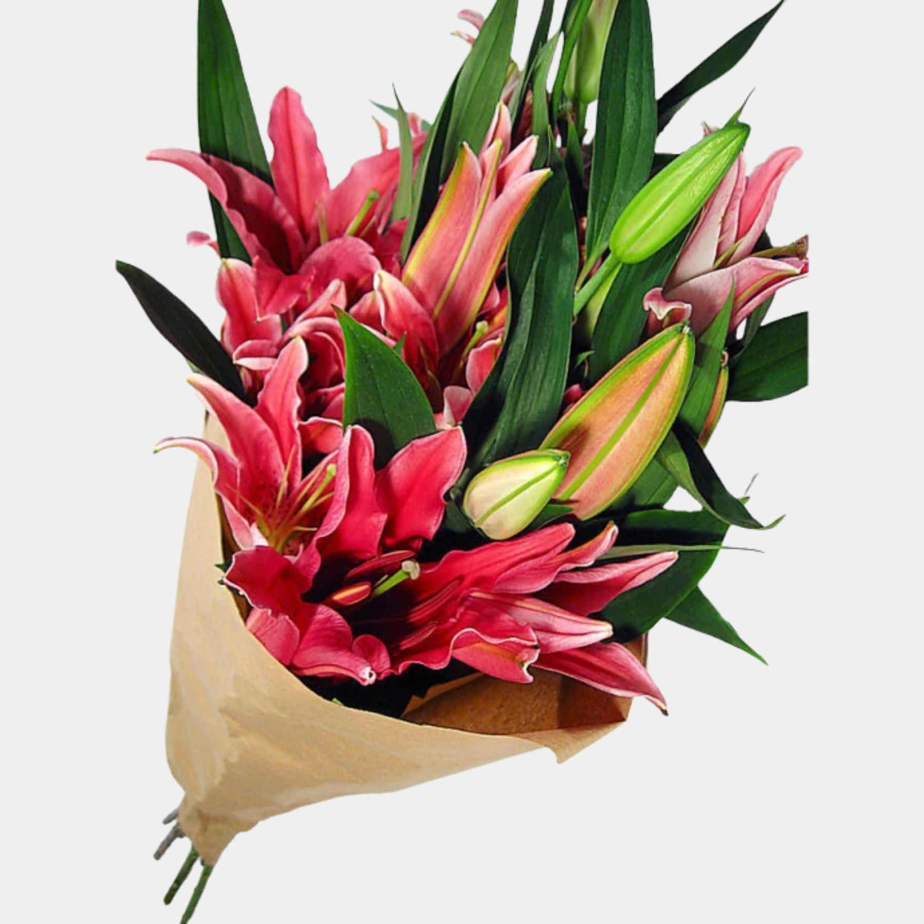 Bouquet of 7 Pink Oriental Lily
