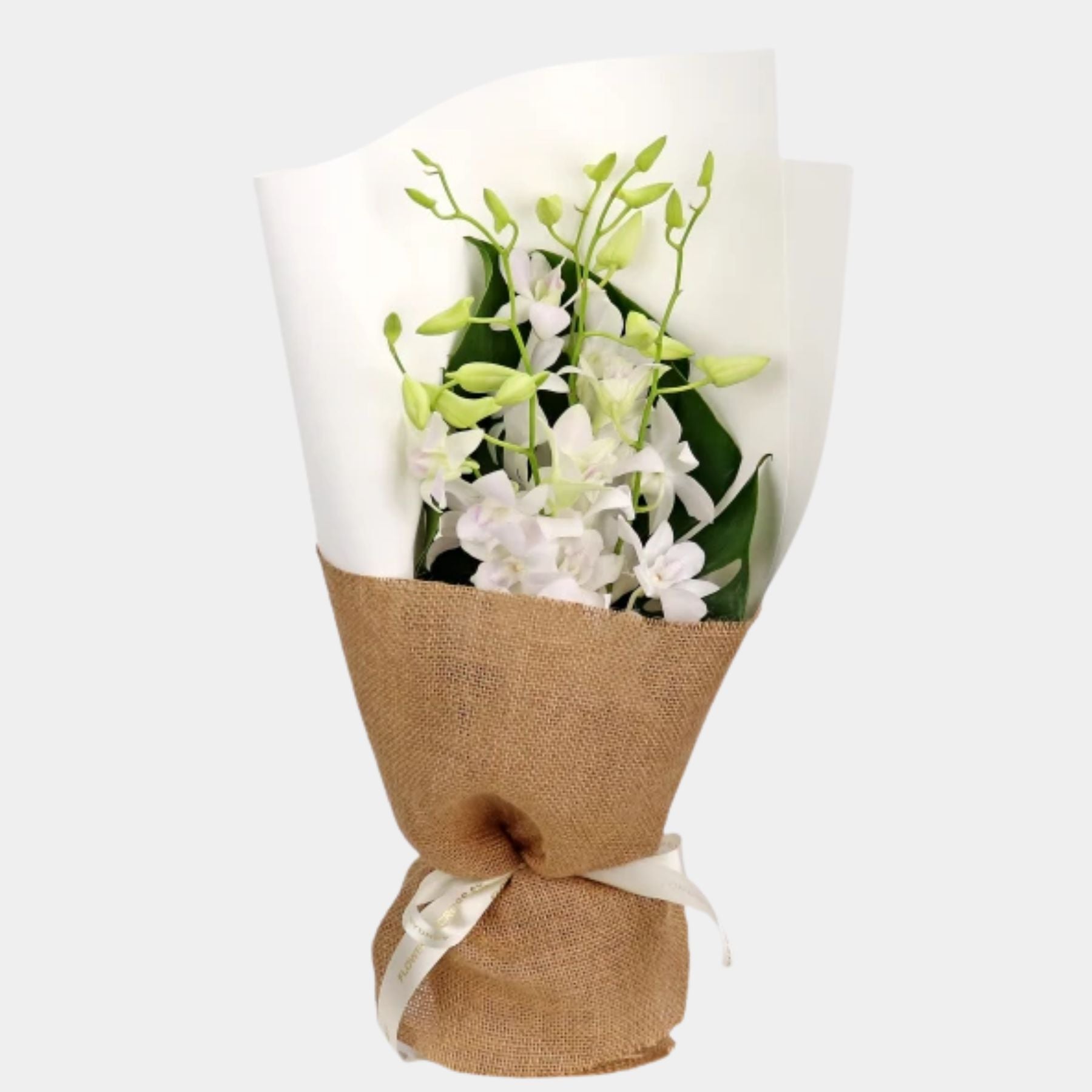 Bouquet of 7 White Orchid