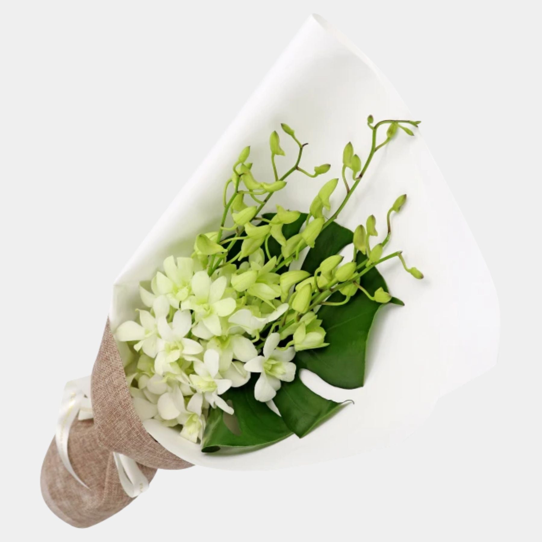 Bouquet of 7 White Orchid