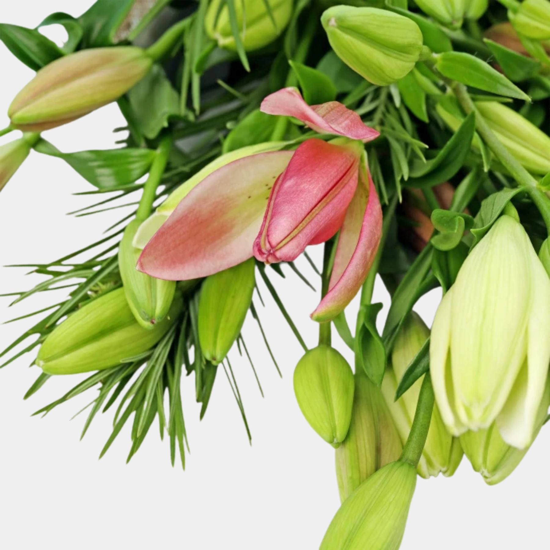 Bouquet of Mixed 10 Pastel Lily