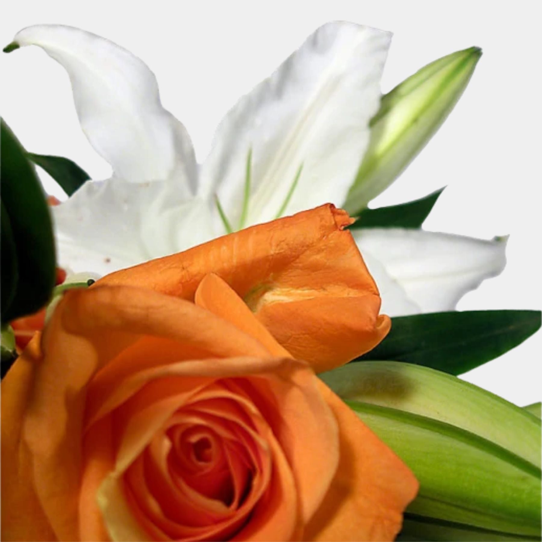 Bouquet of Roses and 10 Oriental Lilies