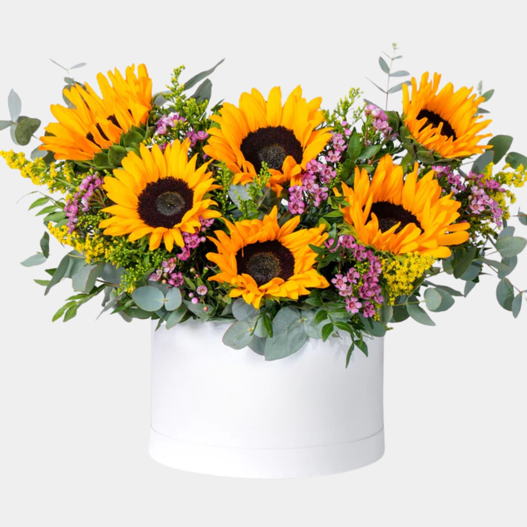 Zovi Sunflowers Flower Box