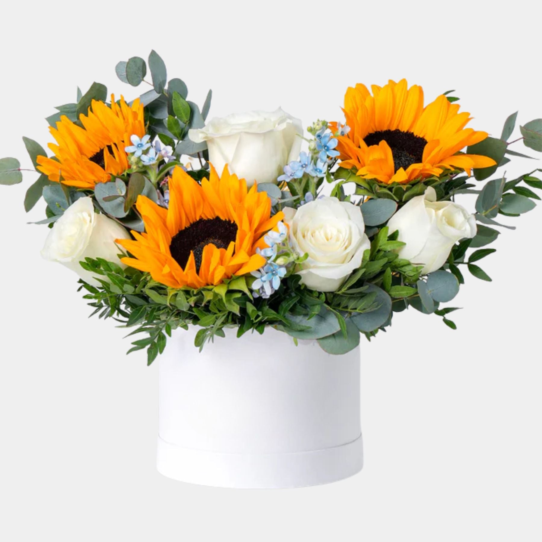 Petite Skylight Flower Box