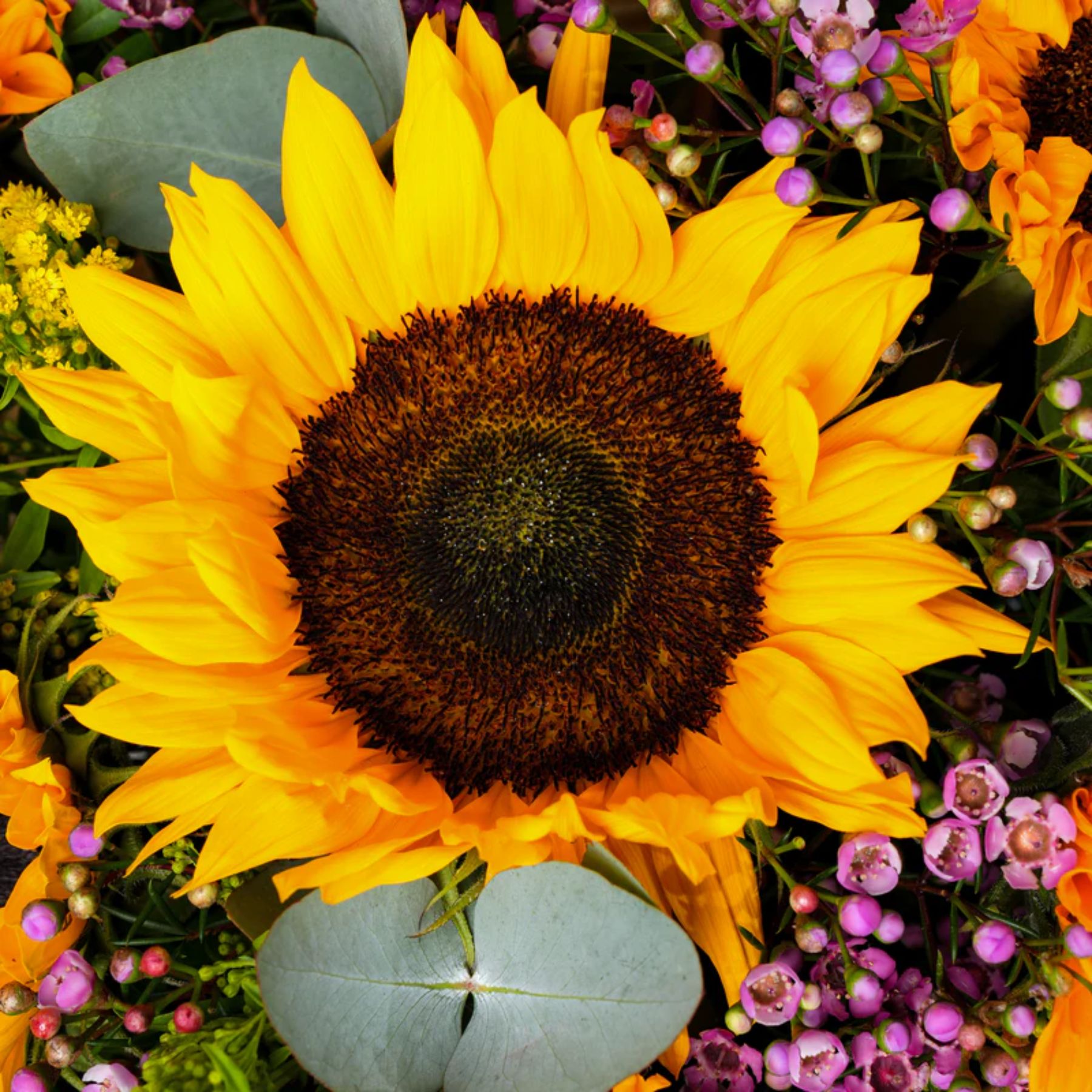 Petite Sunflowers Flower Box