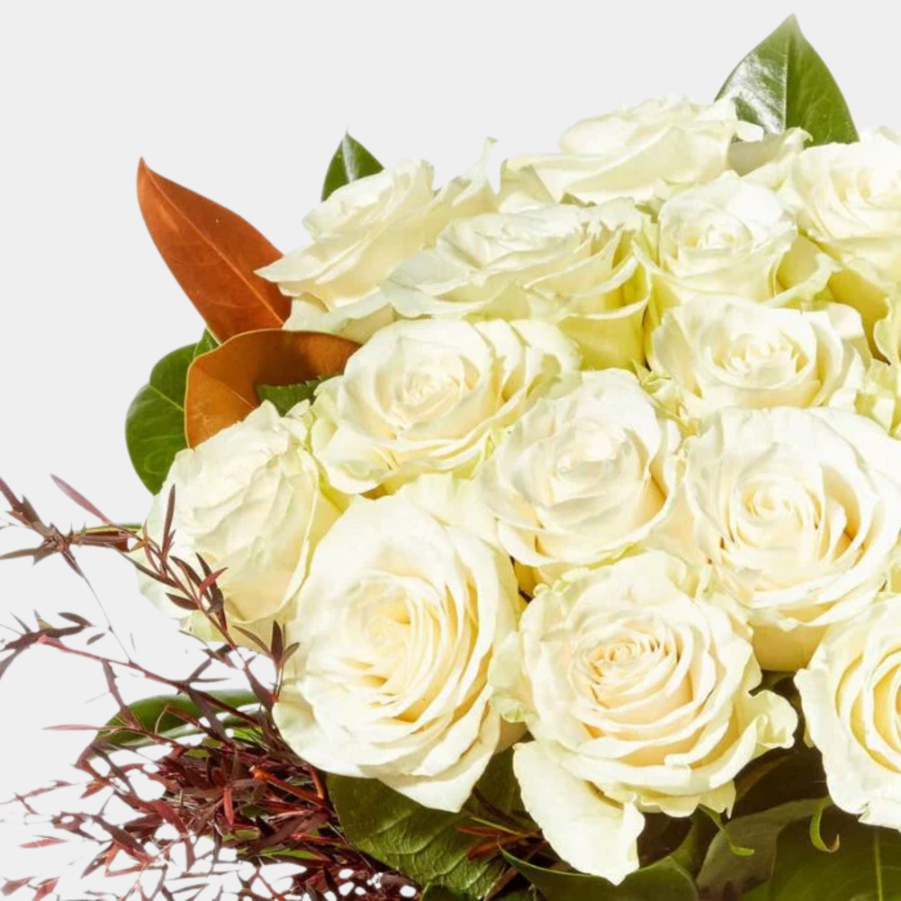 Pure White Rose Bouquet
