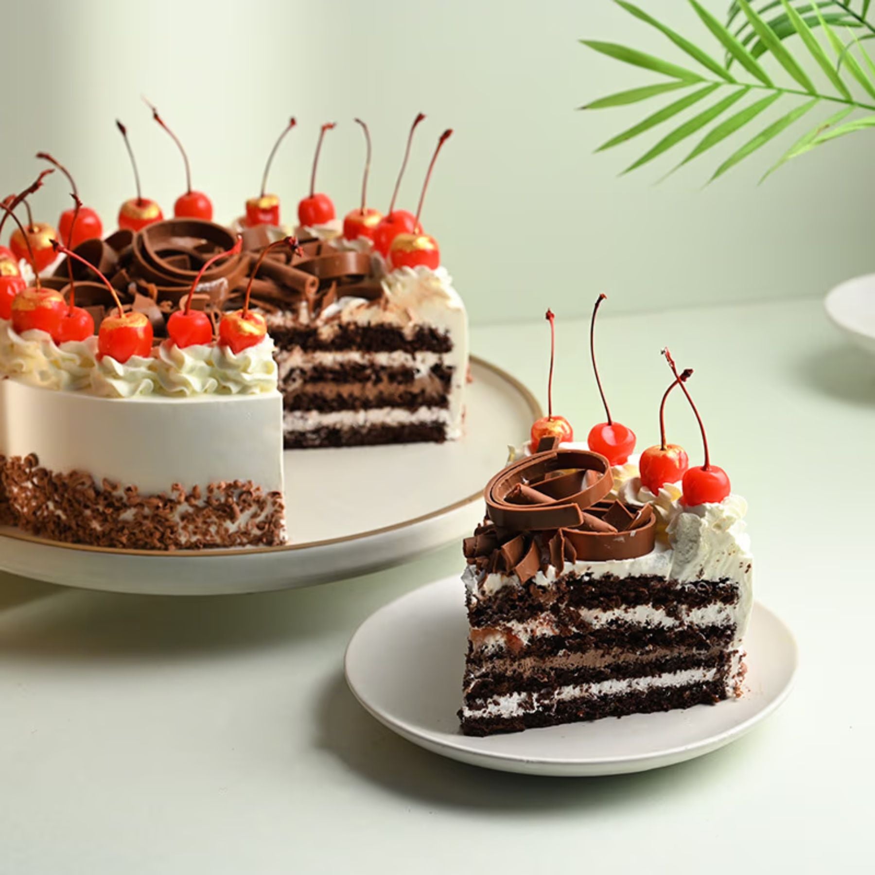 Sumptuous Black Forest Cake