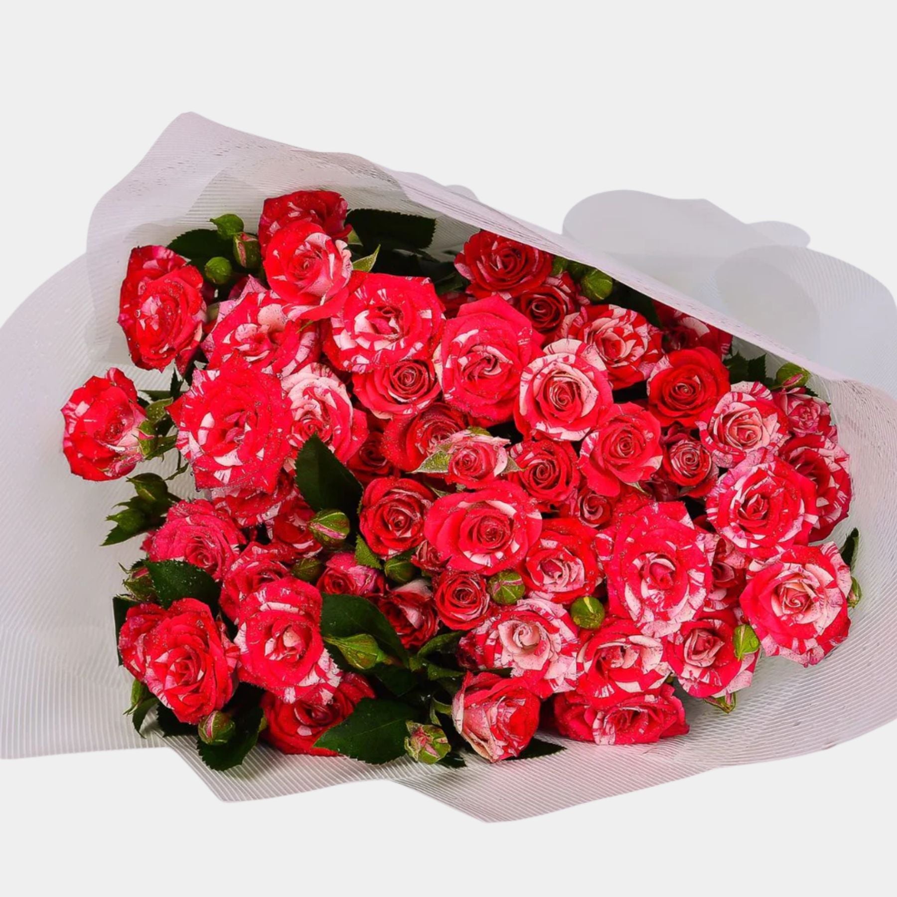 Tiger Pink Baby Roses Bouquet